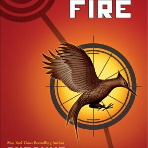 Catching Fire Inspirational Journey